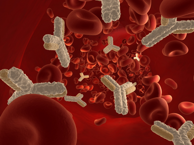 Анализ крови на иммуноглобулин Е